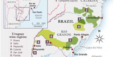 Peta dari Uruguay anggur